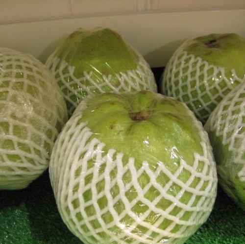 fresh guava for export from Pakistan