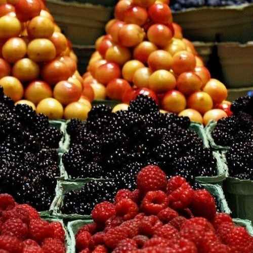 fruit display export quality fruits from Pakistan