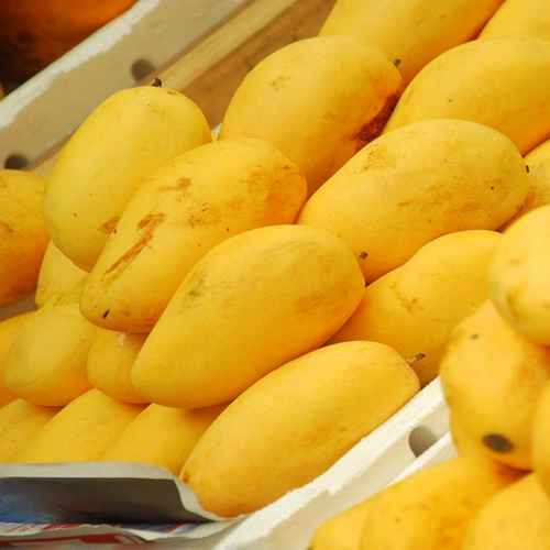 mangos Hamdan exports Pakistan